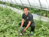 大和田さんのこだますいか