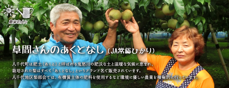 八千代町は肥土（あくと）と呼ばれる鬼怒川の肥沃な土と温暖な気候に恵まれ、栽培された梨はすべて「あくとなし」というブランド名で販売されています。JA常総ひかり八千代地区梨部会では、有機質主体の肥料を使用するなど環境に優しい農業を積極的に行っています。