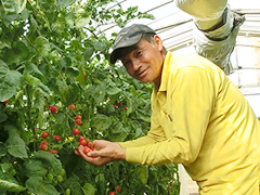 img01.jpg