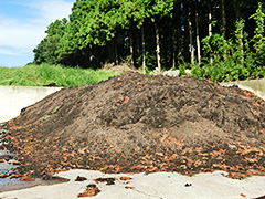 img05.jpg