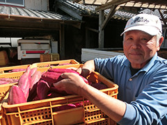 image_01.jpg