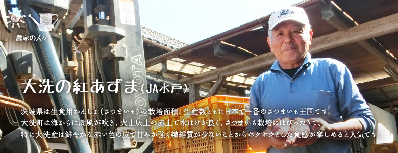 茨城県は生食用かんしょ（さつまいも）の栽培面積、生産数ともに日本で一番のさつまいも王国です。大洗町は海からは潮風が吹き、火山灰土の赤土で水はけが良く、さつまいも栽培にはぴったりで、特に大洗産は鮮やかな赤い色の皮で甘みが強く繊維質が少ないことからホクホクとした食感が楽しめると人気です。