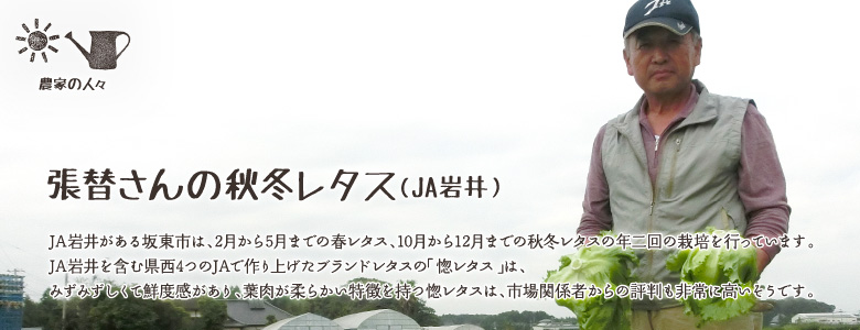 JA岩井がある坂東市は、2月から5月までの春レタス、10月から12月までの秋冬レタスの年二回の栽培を行っています。
JA岩井を含む県西4つのJAで作り上げたブランドレタスの「惚レタス」は、
みずみずしくて鮮度感があり、葉肉が柔らかい特徴を持つ惚レタスは、市場関係者からの評判も非常に高いそうです。