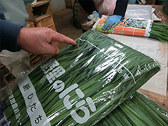 image_05.jpg