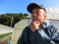 image2.jpg