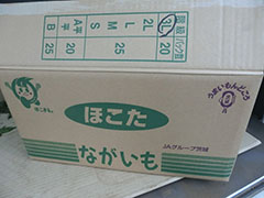 image11.jpg