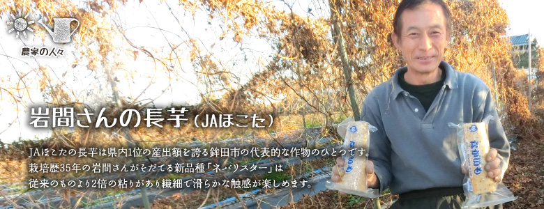 JAほこたの長芋は県内1位の算出額を誇る鉾田市の代表的な作物のひとつです。栽培歴35年の岩間さんがそだてる新品種「ネバリスター」は従来のものより2倍の粘りがあり繊細で滑らかな感触が楽しめます。