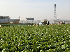 image3.jpg