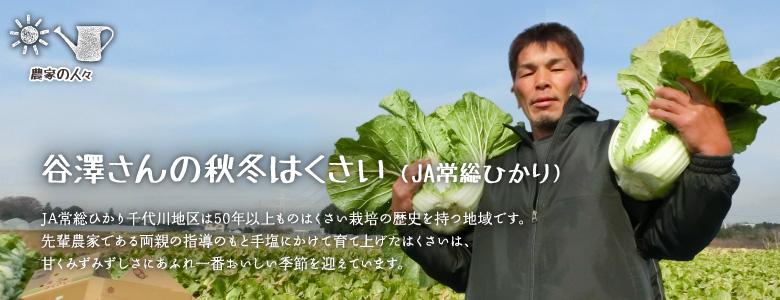 JA常総ひかり千代川地区は50年以上ものはくさい栽培の歴史を持つ地域です。先輩農家である両親の指導のもと手塩にかけて育て上げたはくさいは、甘くみずみずしさにあふれ一番おいしい季節を迎えています。