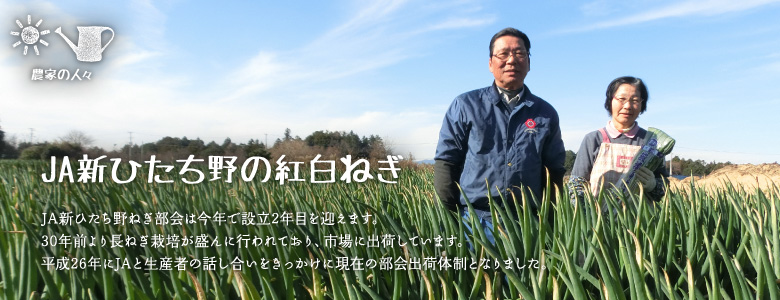 JA新ひたち野ねぎ部会は今年で設立2年目を迎えます。30年前より長ねぎ栽培が盛んに行われており、市場に出荷しています。平成26年にJAと生産者の話し合いをきっかけに現在の部会出荷体制となりました。