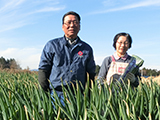 JA新ひたち野の紅白ねぎ