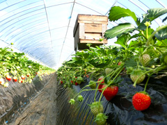 image3.jpg