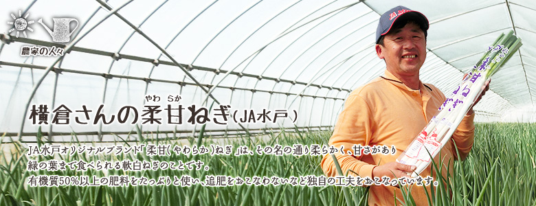 JA水戸のオリジナルブランド「柔甘（やわらか）ねぎ」は、その名の通り柔らかく、甘さがあり緑の葉まで食べられる軟白ねぎのことです。有機質50%以上の肥料をたっぷりと使い、追肥をおこなわないなど独自の工夫をおこなっています。