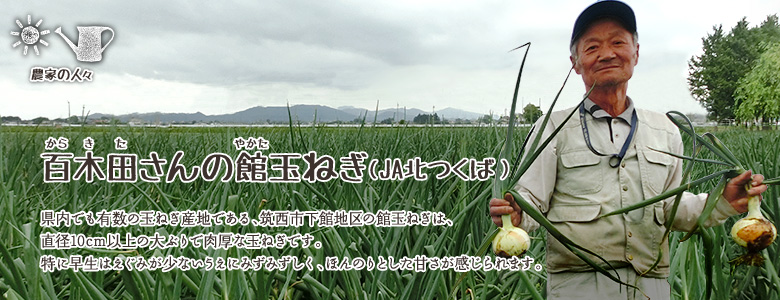 県内でも有数の玉ねぎ産地である、筑西市下館地区の館玉ねぎは、直径10cm以上の大ぶりで肉厚な玉ねぎです。特に早生は、えぐみが少ないうえにみずみずしく、ほんのりとした甘さが感じられます。