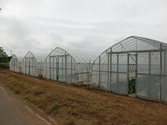 image5.jpg