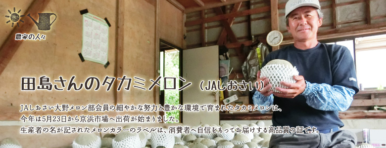 JAしおさい大野メロン部会員の細やかな努力と豊かな環境で育まれたタカミメロンは、今年は5月23日から京浜市場へ出荷が始まりました。生産者の名が記されたメロンカラーのラベルは、消費者へ自信をもってお届けする高品質の証です。