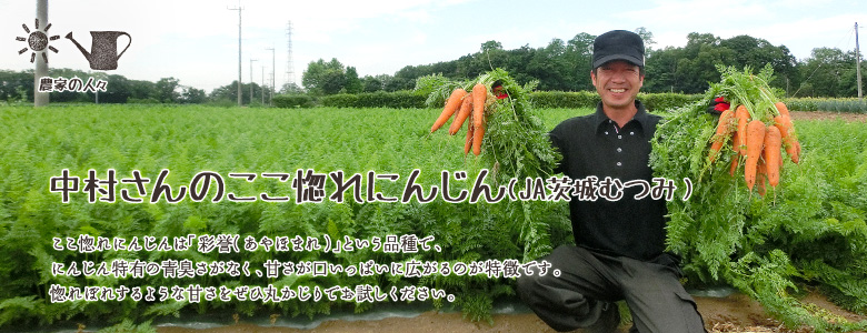 ここ惚れにんじんは「彩誉（あやほまれ）」という品種で、にんじん特有の青臭さがなく、甘さが口いっぱいに広がるのが特徴です。惚れぼれするような甘さをぜひ丸かじりでお試しください。