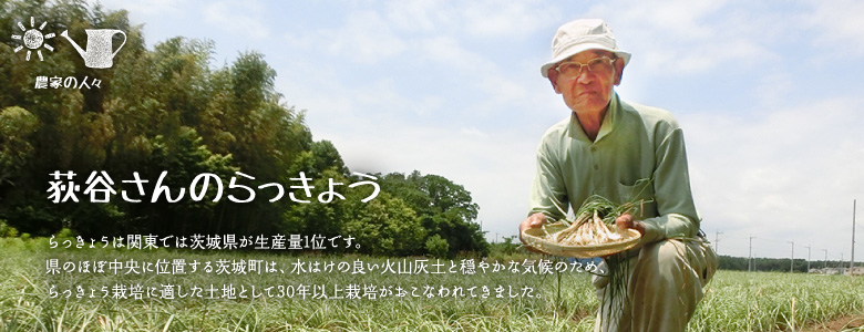らっきょうは関東では茨城県が生産量1位です。
県のほぼ中央に位置する茨城町は、水はけの良い火山灰土と穏やかな気候のため、
らっきょう栽培に適した土地として30年以上栽培がおこなわれてきました。