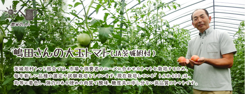 茨城旭村トマト部会では、市場や消費者のニーズに合わせたトマトを栽培するため、毎年新しい品種の選定や試験栽培をしています。現在栽培している「りんか409」は、均等に着色し、弾力のある硬めの肉質で酸味、糖度共に申し分ない高品質のトマトです。