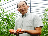 嶋田さんの大玉トマト