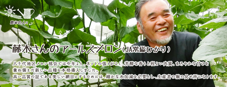 八千代地区メロン部会では今年よりネットの張りがよく、芳醇な香りと程よい肉質、まろやかな甘さを兼ね備えた新しい品種を本格導入しました。高い品質の証である美しい網目にするためには、細かな水加減を必要とし、生産者の腕の見せ所になります。
