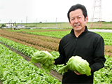 中村さんのシャキシャキレタス