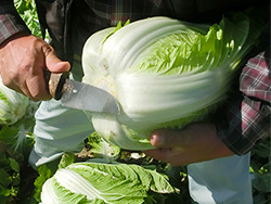 image4.jpg