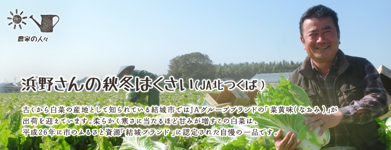 古くから白菜の産地として知られている結城市ではJAグループブランドの「菜黄味（なおみ）」が出荷を迎えています。柔らかく寒さに当たるほど甘みが増すこの白菜は、平成26年に市のふるさと資源「結城ブランド」に認定された自慢の一品です。