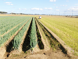 image3.jpg