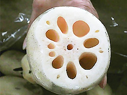 image2.jpg