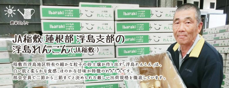 稲敷市浮島地区特有の細かな粒子の砂土壌が作り出す「浮島れんこん」は、白い肌と柔らかな食感、ほのかな甘味が特徴のれんこんです。
部会全員で二節から三節までと決められた厳しい出荷規格を徹底しています。