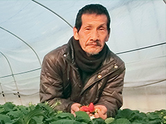 JAなめがた いちご部会連絡会会長の石橋 豊さん