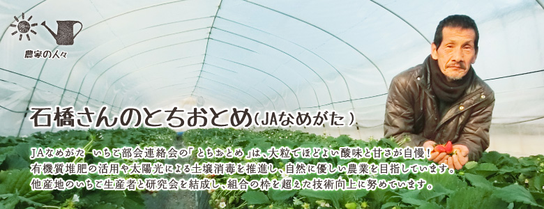 JAなめがた いちご部会連絡会の「とちおとめ」は、大粒でほどよい酸味と甘さが自慢！
有機質堆肥の活用や太陽光による土壌消毒を推進し、自然に優しい農業を目指しています。
他産地のいちご生産者と研究会を結成し、組合の枠を超えた技術向上に努めています。