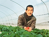 石橋さんのとちおとめ