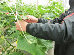 image4.jpg