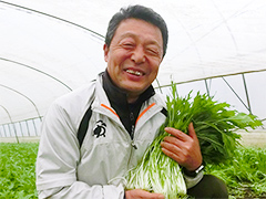 JAほこた 園芸部会 水菜部 部長 斉藤 新一さん