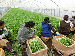 image3.jpg