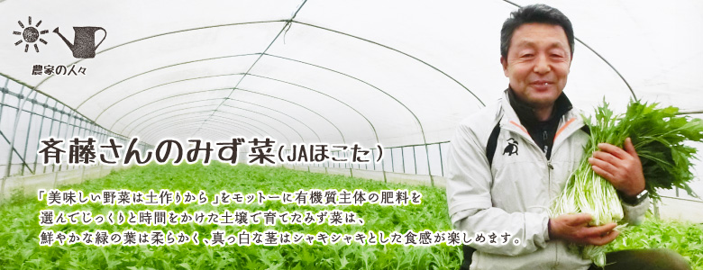 「美味しい野菜は土作りから」をモットーに有機質主体の肥料を選んでじっくりと時間をかけた土壌で育てたみず菜は、
鮮やかな緑の葉は柔らかく、真っ白な茎はシャキシャキとした食感が楽しめます。