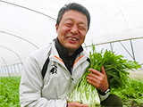 斉藤さんのみず菜