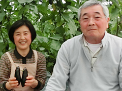 JA稲敷 なす部会 部会長 坂本 泰造さんと奥様