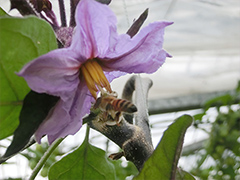image5.jpg
