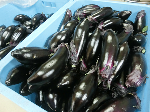 image7.jpg