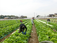 image4.jpg