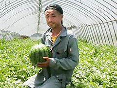 JA茨城かすみ 阿見西瓜部会 部会長 野原 秀亮さん