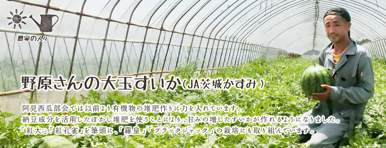 阿見西瓜部会では以前より有機物の堆肥作りに力を入れています。納豆成分を活用したぼかし堆肥を使うことにより、甘みの増したすいかが作れるようになりました。「紅大」「紅孔雀」を筆頭に、「羅皇」「ブラックジャック」 の栽培にも取り組んでいます。