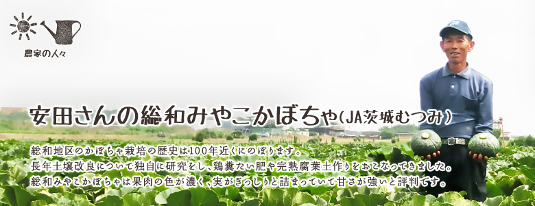 総和地区のかぼちゃ栽培の歴史は100年近くにのぼります。長年土壌改良について独自に研究をし、鶏糞たい肥や完熟腐葉土作りをおこなってきました。総和みやこかぼちゃは畑で完熟してから収穫するので果肉の色が濃く、実がぎっしりと詰まっていて甘さが強いと評判です。