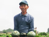 安田さんの総和みやこかぼちゃ