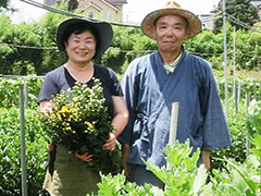 JA茨城旭村　パプリカ部　部長　石崎 和浩さん