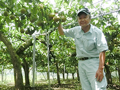 JA新ひたち野　石岡梨部会　部長　部会長　岡野 孝雄さん