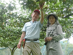 JA土浦　千代田梨選果場利用部会　部会長　川上 幸男さん、泰子さん夫妻